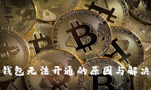 数字钱包无法开通的原因与解决方案