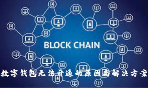 数字钱包无法开通的原因与解决方案
