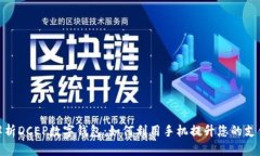 全面解析DCEP数字钱包：如