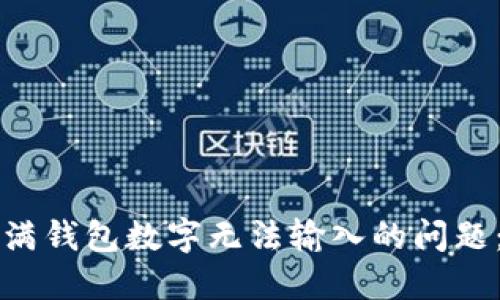 如何解决度小满钱包数字无法输入的问题：用户实用指南