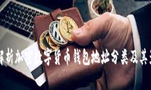 全面解析加密数字货币钱包地址分类及其影响力