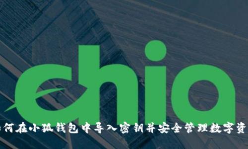 如何在小狐钱包中导入密钥并安全管理数字资产