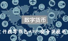 全面解析建行数字钱包A