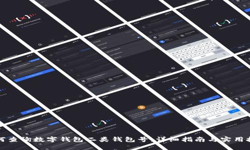 如何查询数字钱包二类钱包号：详细指南与实用技巧