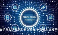 : 数字钱包下载异常解决指