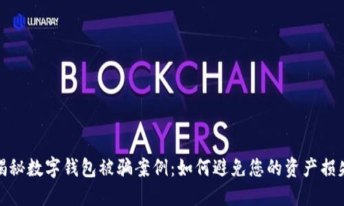揭秘数字钱包被骗案例：如何避免您的资产损失