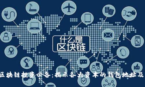 2023年区块链投资必备：揭示各大资本的钱包地址及其影响力