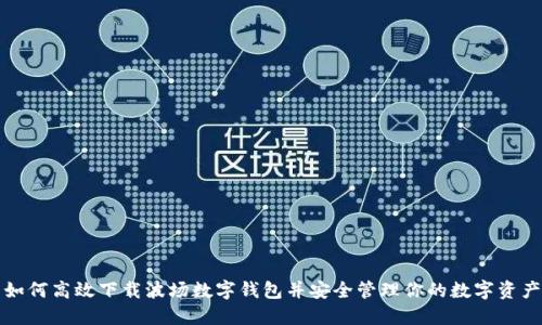 如何高效下载波场数字钱包并安全管理你的数字资产