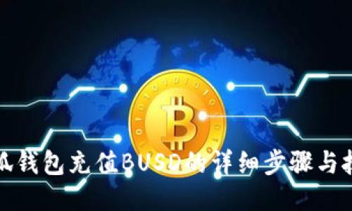 小狐钱包充值BUSD的详细步骤与技巧