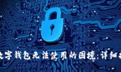 如何应对数字钱包无法使