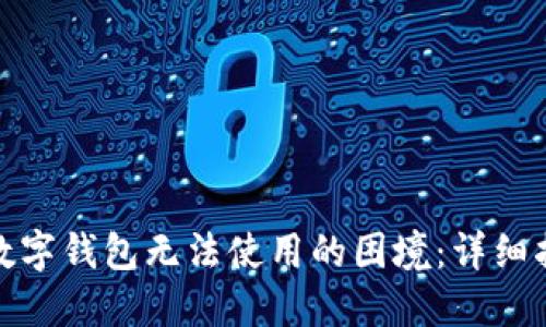如何应对数字钱包无法使用的困境：详细指南与建议