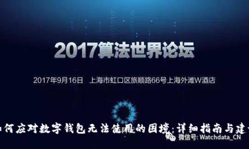 如何应对数字钱包无法使用的困境：详细指南与建议