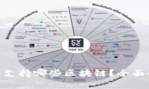 MetaMask钱包支持哪些区块链？全面解析与使用指南