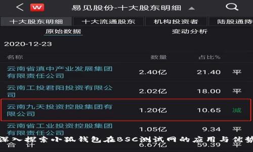 深入探索小狐钱包在BSC测试网的应用与优势