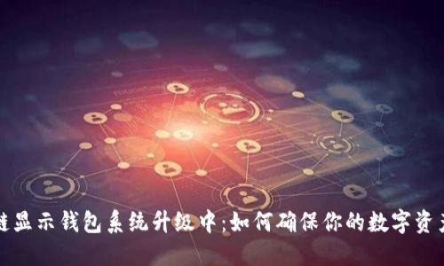 区块链显示钱包系统升级中：如何确保你的数字资产安全