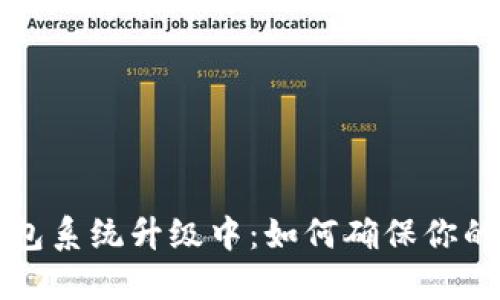 区块链显示钱包系统升级中：如何确保你的数字资产安全