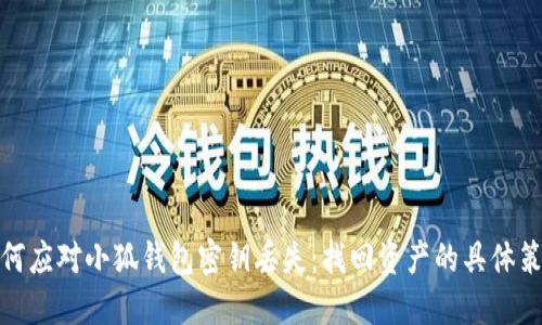 如何应对小狐钱包密钥丢失：找回资产的具体策略