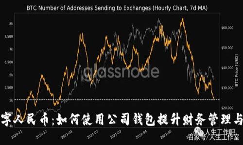 掌握数字人民币：如何使用公司钱包提升财务管理与便捷性