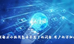 如何解决小狐钱包币不见了的问题：用户的详细