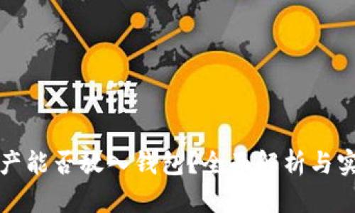 加密资产能否放入钱包？全面解析与实用指南