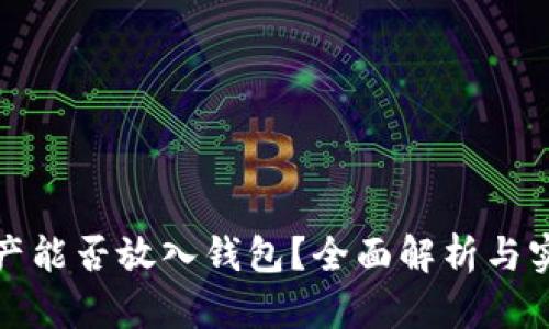 加密资产能否放入钱包？全面解析与实用指南