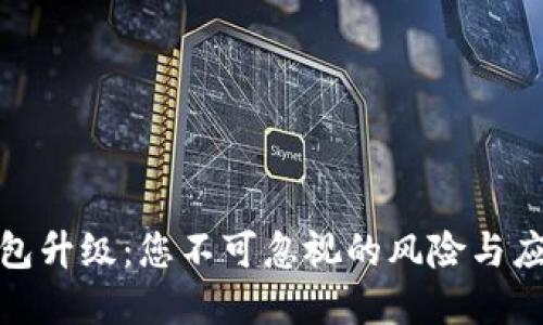 数字钱包升级：您不可忽视的风险与应对策略
