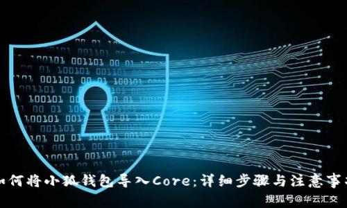 如何将小狐钱包导入Core：详细步骤与注意事项