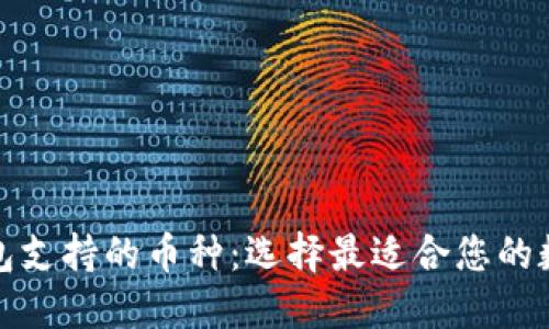 探索加密货币钱包支持的币种：选择最适合您的数字资产管理方案