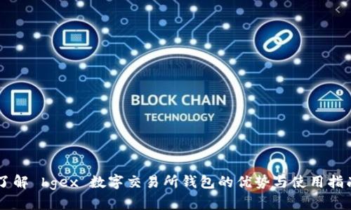 了解 hgex 数字交易所钱包的优势与使用指南
