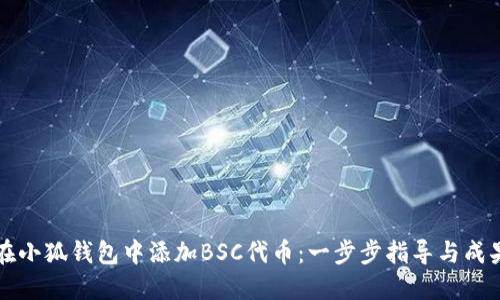 如何在小狐钱包中添加BSC代币：一步步指导与成果分享