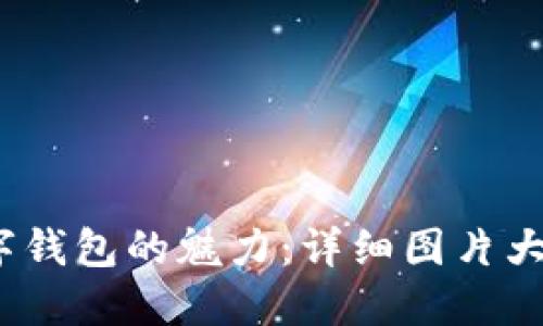  解锁建行数字钱包的魅力：详细图片大全与使用心得