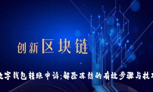 数字钱包转账申诉：解除冻结的有效步骤与技巧