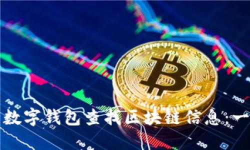 如何使用数字钱包查找区块链信息：一站式指南