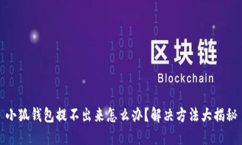 小狐钱包提不出来怎么办？解决方法大揭秘