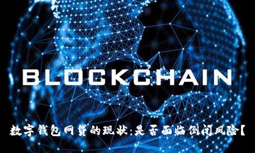 数字钱包网贷的现状：是否面临倒闭风险？