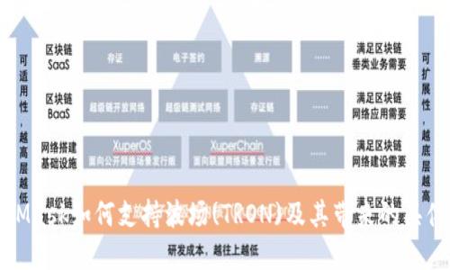 MetaMask如何支持波场(TRON)及其带来的具体成果
