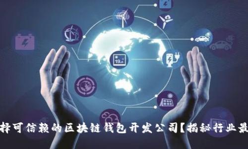如何选择可信赖的区块链钱包开发公司？揭秘行业最佳选择