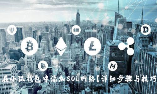 如何在小狐钱包中添加SOL网络？详细步骤与技巧解析