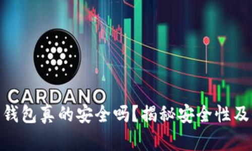 数字货币钱包真的安全吗？揭秘安全性及保护措施