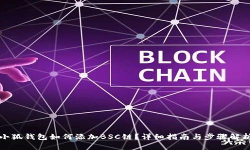小狐钱包如何添加BSC链？详细指南与步骤解析