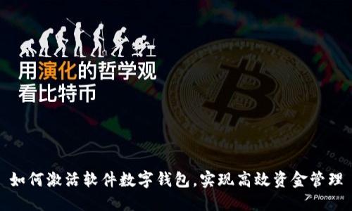 如何激活软件数字钱包，实现高效资金管理