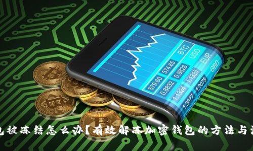 加密钱包被冻结怎么办？有效解冻加密钱包的方法与注意事项