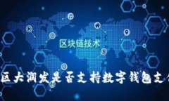 园区大润发是否支持数字