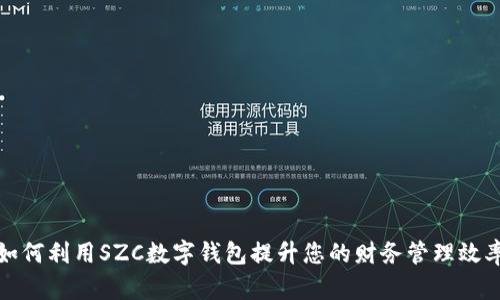 如何利用SZC数字钱包提升您的财务管理效率