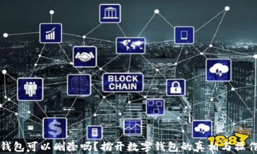 
数字钱包可以删除吗？揭开数字钱包的真相与操作指南