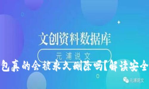 小狐钱包真的会被永久删除吗？解读安全与风险