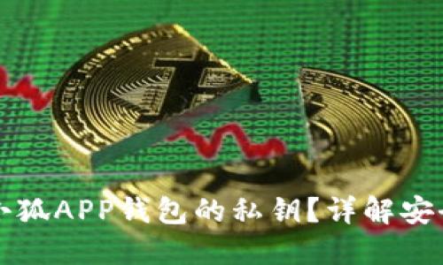 如何找到小狐APP钱包的私钥？详解安全获取方式