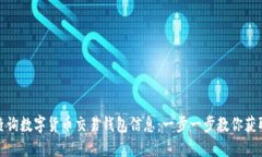 如何高效查询数字货币交易钱包信息：一步一步
