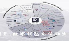 轻松掌控财务，数字钱包充值让生活更加便利