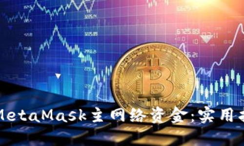 如何安全管理MetaMask主网络资金：实用指南与最佳实践